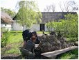 Hestebedg�rd - b�nke s�ttes op 25. april 2011