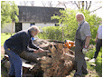 Hestebedg�rd - b�nke s�ttes op 30. april 2011