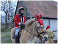 Hestebedg�rd - juleridning 13/12-2009
