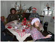 Hestebedg�rd - julestue 2010