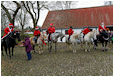 Hestebedg�rd - julestue, og juleridning og julemarked 29. november 2014. Foto: Ib Ballisager