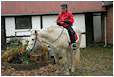 Hestebedg�rd - julestue, og juleridning og julemarked 28. november 2015. Foto: Ib Ballisager