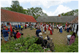 Hestebedgård - Orødagen 7/6-2015. Foto: Ib Ballisager