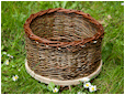 Hestebedg�rd - Pilefletdagen 16. juni 2012.